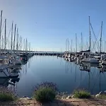 Panorama 8 *